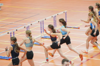 Halle SG