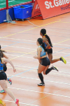 Halle SG