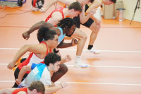 Halle SG