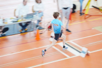 Halle SG