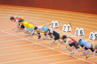 Halle SG
