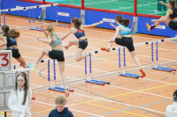 Halle SG