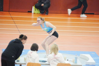 Halle SG