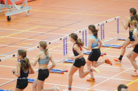 Halle SG