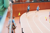 Halle SG