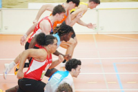 Halle SG