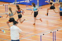 Halle SG