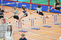 Halle SG