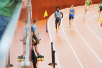 Halle SG