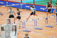 Halle SG