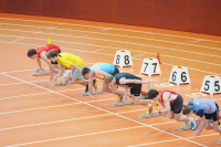 Halle SG