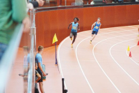 Halle SG