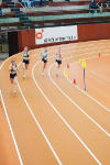 Halle SG