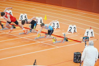 Halle SG
