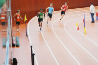 Halle SG