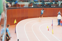 Halle SG