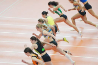 Halle SG