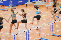 Halle SG