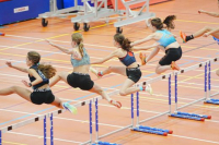 Halle SG