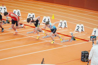 Halle SG