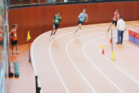Halle SG