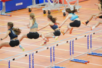 Halle SG