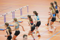 Halle SG