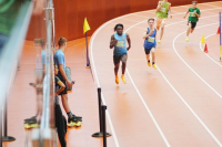 Halle SG