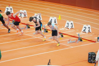 Halle SG