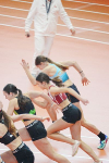 Halle SG