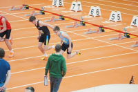 Halle SG