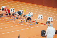 Halle SG