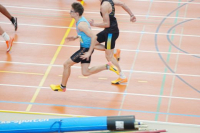 Halle SG