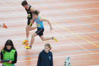 Halle SG