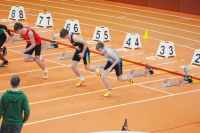 Halle SG