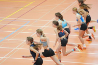 Halle SG