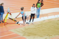 Halle SG