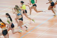 Halle SG