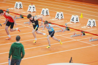 Halle SG