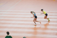 Halle SG