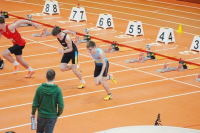 Halle SG