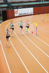 Halle SG