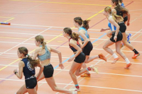 Halle SG