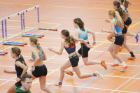 Halle SG