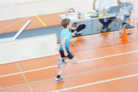 Halle SG