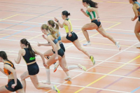 Halle SG