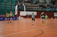NW Halle 