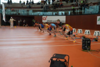 NW Halle 