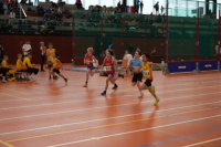 NW Halle 
