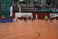NW Halle 